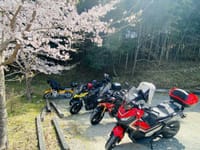 桜、立雲峡ツーリング(^o^)