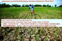 画像シリーズ1143「気象気候地球物理庁（BMKG）は南スマトラ州の7つの地区が干ばつに見舞われると予測」“BMKG prakirakan tujuh kabupaten di Sumsel alami kekeringan”