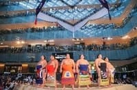 大相撲を体感できるイベント「はっきよいKITTE」と暑気払い