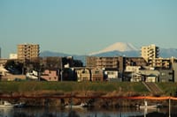 写真は、ガス橋付近から撮った日の出、大田区下丸子付近の多摩川土手からの富士山、玉川高島屋からの日の入りと富士山