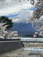 やっぱり晴れ女👍富士山と桜日帰り旅行