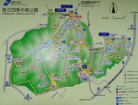 横浜市緑区、四季の森公園散策