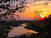 昨日の写真３枚・・多摩川台公園から撮った日没の多摩川、豪徳寺の桜、ハナズオウ　目黒天空庭園にて