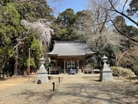 枝垂れ桜の「陸奥総社宮」を参詣させて頂きました。
