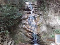 芦屋川から登る六甲山系ハイキングの人気コース「ロックガーデン・東お多福山」