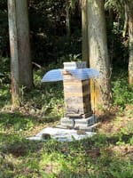 日本ミツバチの巣箱