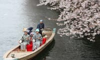 3/23🌸大横川沿い約270本の桜と江戸風情溢れる深川ご一緒いかがですか❓