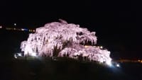 三春・滝桜ツアー