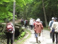 リベンジ企画、「愛知県民の森」の滝めぐりで軽登山を楽しみましょう！