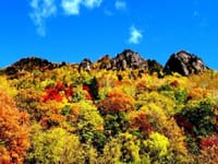 「今年の紅葉（１）北海道の紅葉、黄葉の写真」
