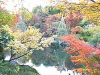 写真３枚は、秋の目白庭園、ススキと秋色の目白庭園、向島百花園の10月桜、紅葉、黄葉　