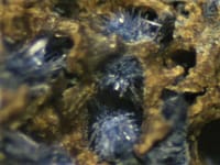 毬栗の様な藍鉄鉱