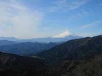 初冬の丹沢大山へ