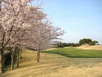 [5月10日木曜日]コンペなので早めに立てました！！千葉桜の里ゴルフークラブ