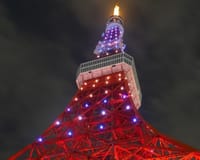 　あなたはどちら派？ 「東京タワー」「スカイツリー」の人気、30代前後で入れ替わるワケ