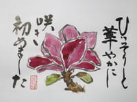 絵手紙・木蓮が咲いてきた！。