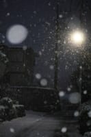 冬景色 その6「静かな❄雪の夜」