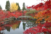 秋の紅葉散策～もみじの永観堂(禅林寺)