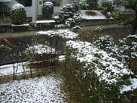 名古屋に雪……～年賀状ストレス減少～