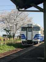 桜満開の兵庫県は加古川からちょっと奥にある加西市の山歩き