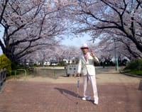 桜満開＼(^O^)／春が来た＼(^O^)／