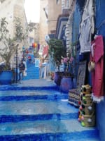 青い街・シャウエン（モロッコ）　猫とメルヘンの世界