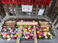 下谷神社の5月の花手水です🌸