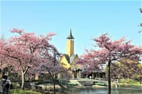「なばなの里」春のイベント Part Ⅱ　河津桜＆ライトアップ！！
