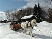 「感動的な旅（３）北海道開拓村の雪景色とアイヌ民族の運命」