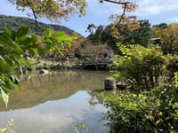 京都円山公園で色付き始めた紅葉を描いてみよう