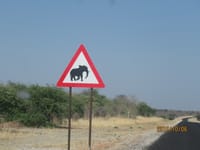 ナミビアで800kmの大移動　平均速度が120km
