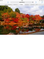 激安紅葉の京都。