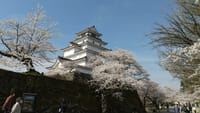鶴ヶ城(会津若松城)の桜と歴史