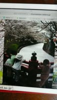 日本一長い桜回廊のごみ拾いーさいたま市緑区ー