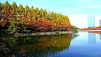 大阪城・・・公園は良いが、｢ミライザ大阪城｣はチョットね〜！