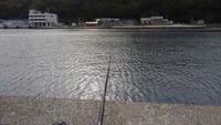 粟島で釣りを楽しむ(2)