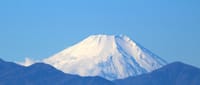 昨日の写真３枚・・富士山の白、平林寺の紅葉