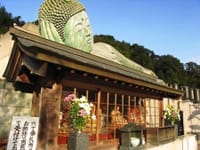 大相撲九州場所錣山部屋土俵見学と紅葉のお遍路巡り