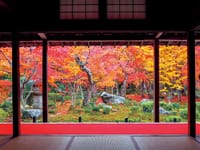 紅葉の京都　一人２席利用で行く　１２月１日
