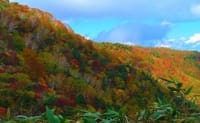 紅葉で人気の安達太良山登山