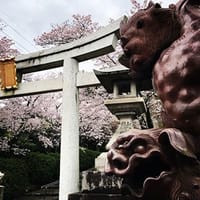 京都・宗忠神社　の逆立ち陶器狛犬