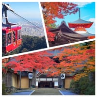 ✈異国情緒溢れる神戸～紅葉の高野山🍂🍁