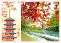 竜田川の美しい紅葉と歩友初の法隆寺拝観を楽しみましょう～♪