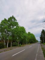 北海道・上士幌移住生活581「早朝サイクリング」