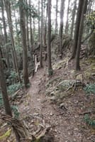 毛呂山、健脚コースは変化に富んだ魅力的なハイキングコースでした。