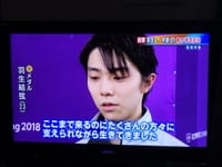 羽生選手が2連覇の金メダル・宇野選手が初の銀メダル