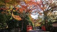 晴れた日に紅葉を求めて登山に🎵 比叡山&大原