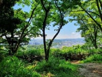「1月31日（日） 菜の花と富士山を楽しむ吾妻山公園ハイキング」