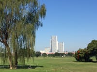 11月 ゴルフ「ショートコースで遊ぼう」東京 川崎 横浜