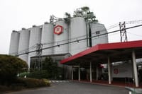 日本の味！キッコーマン醤油工場見学!!